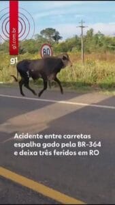 Colisão entre Carretas Provoca Acidente e Interdição na BR-364 em Rondônia