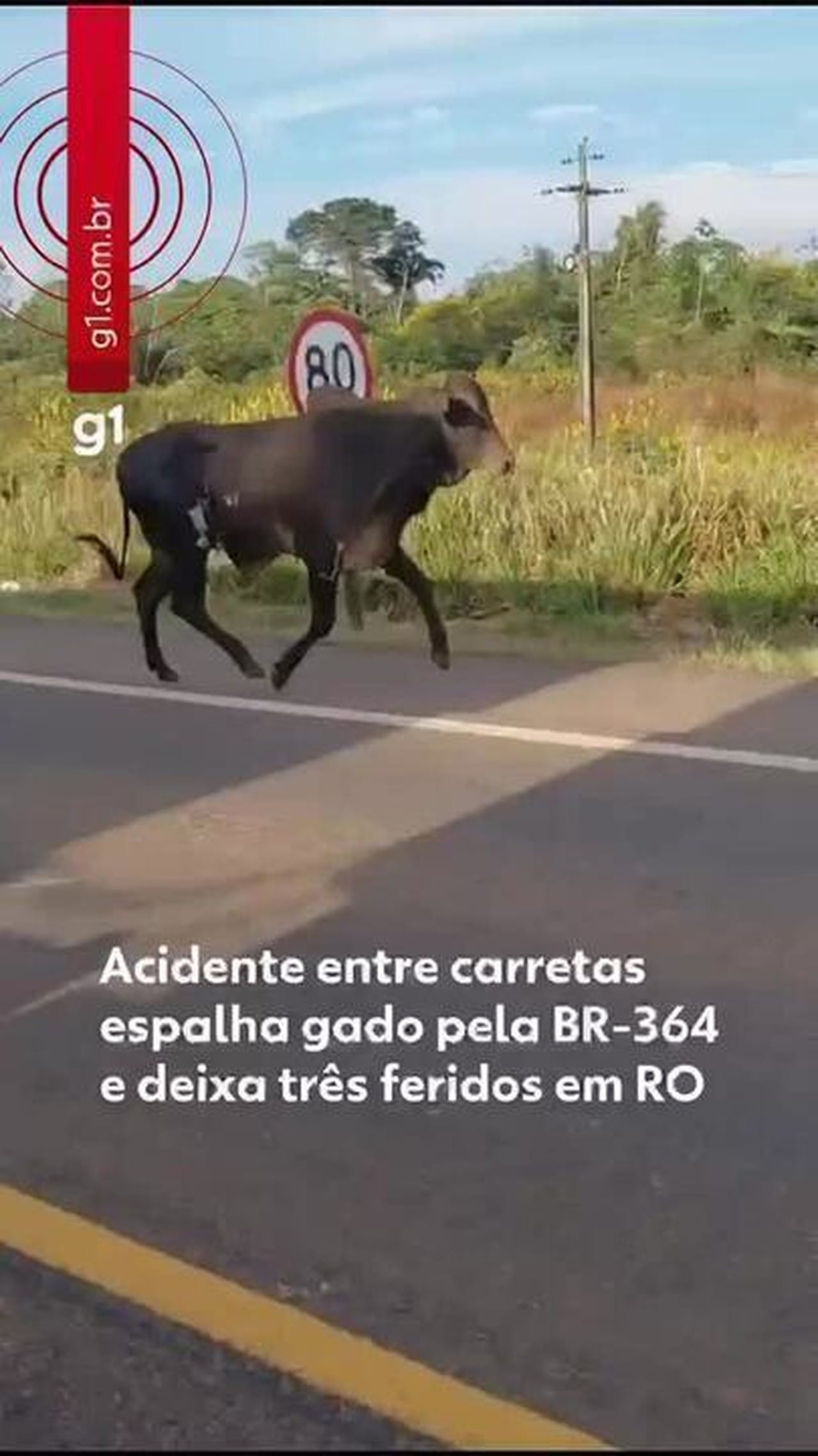Colisão entre Carretas Provoca Acidente e Interdição na BR-364 em Rondônia