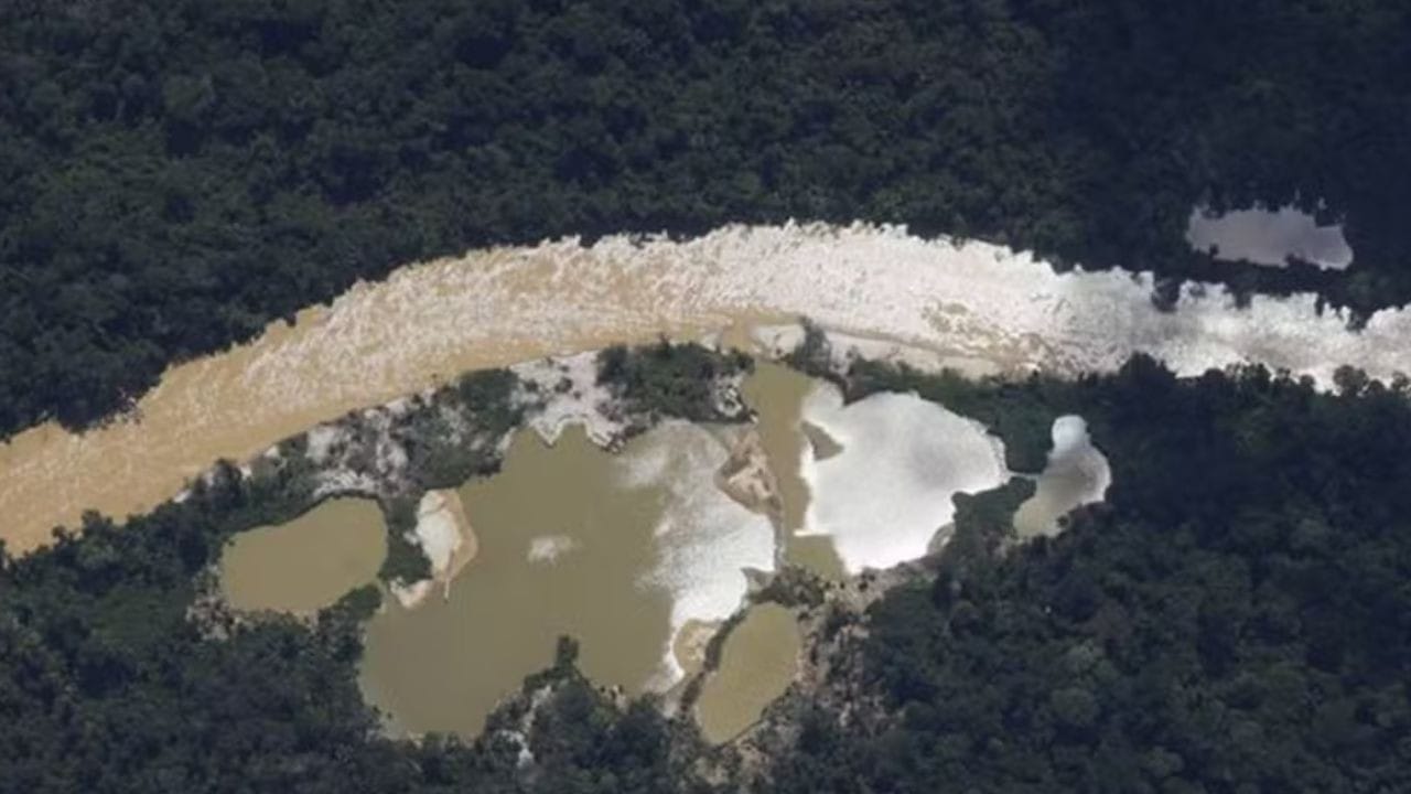 Quatro Indivíduos se Tornam Réus por Garimpo Ilegal em Área Protegida no Amazonas