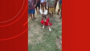 Festa de São Pedro: Concurso elege o cachorro mais estiloso no interior do Amazonas