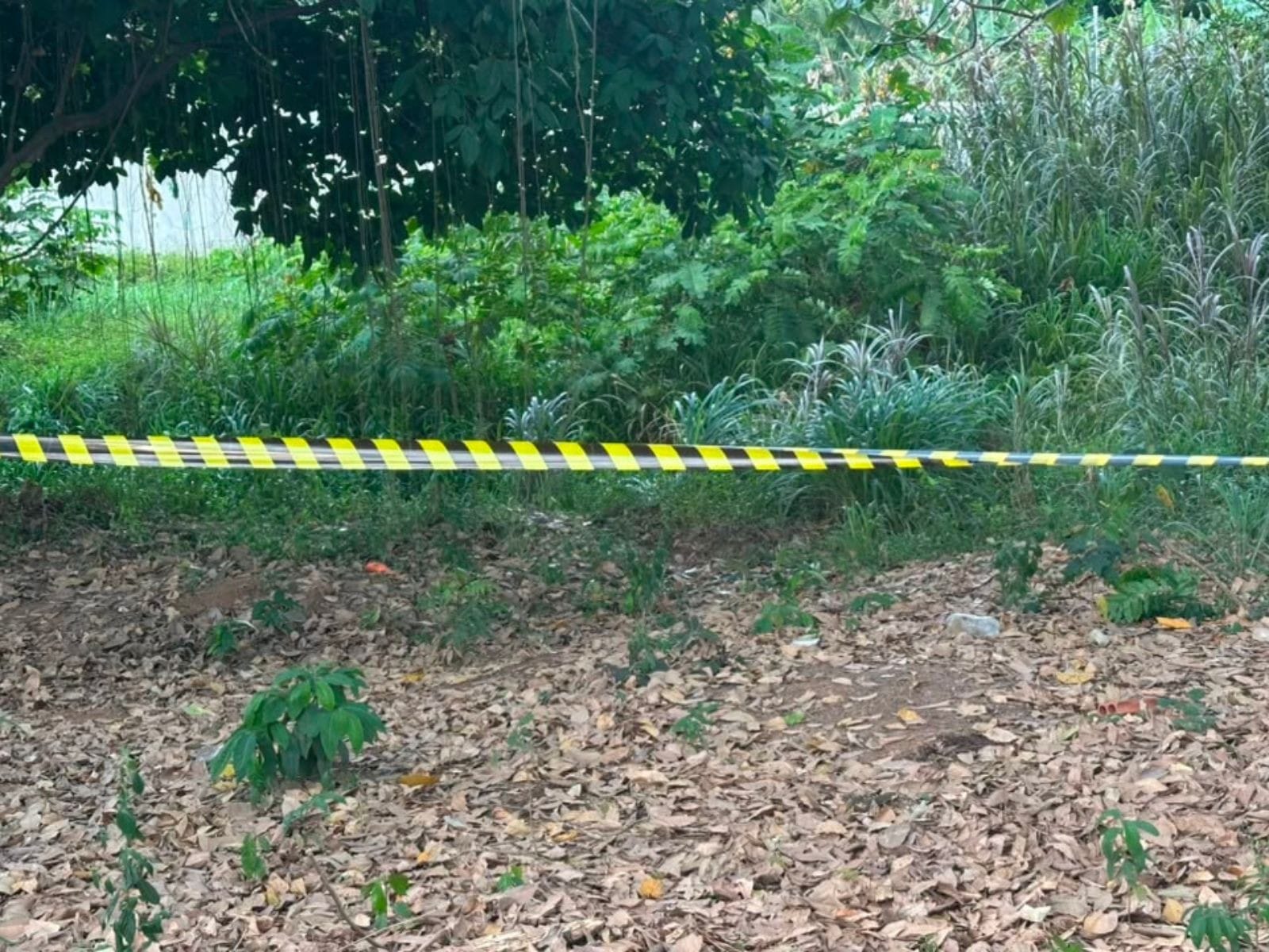Polícia Investiga Morte Misteriosa em Córrego de Rio Branco