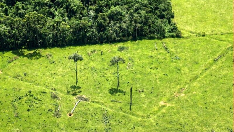 Descoberta de Novos Geoglifos na Amazônia Através de Tecnologias Avançadas