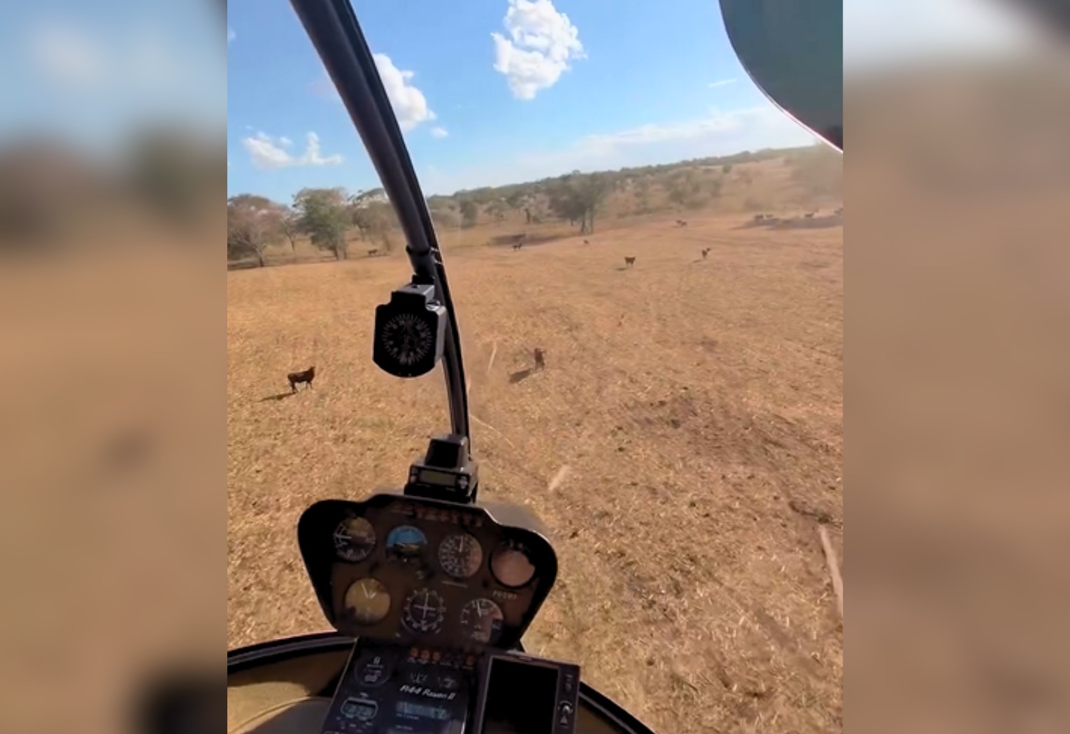 Juliano, da dupla com Henrique, mostra habilidades em helicóptero e diverte-se com gado em fazenda