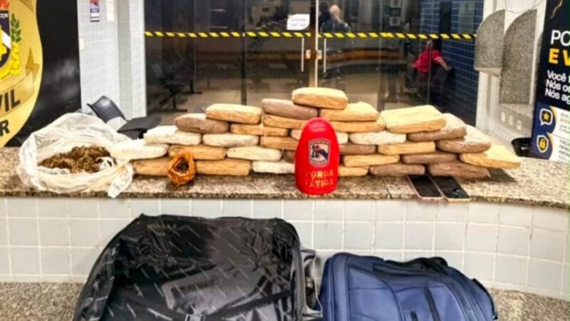 Casal Detido com Grande Quantidade de Skunk em Boa Vista