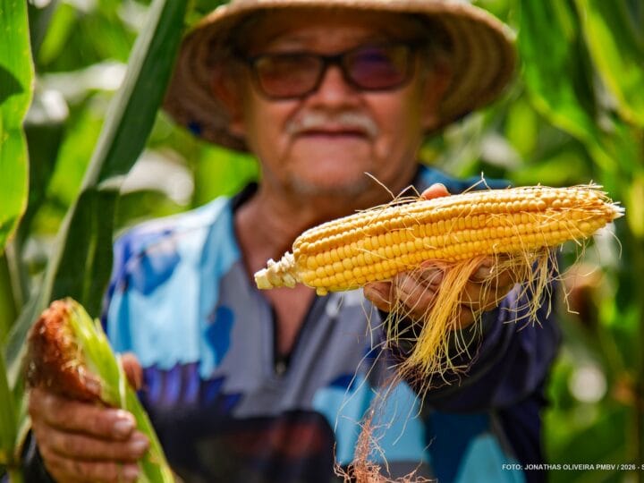 Boa Vista: 136 Anos de História e a Contribuição dos Agricultores