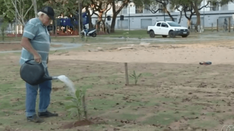 A Transformação da Praça em Palmas: A História de Francisco Oliverski