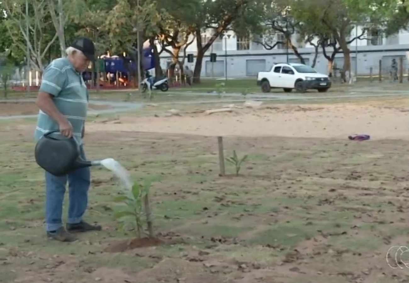 A Transformação da Praça em Palmas: A História de Francisco Oliverski
