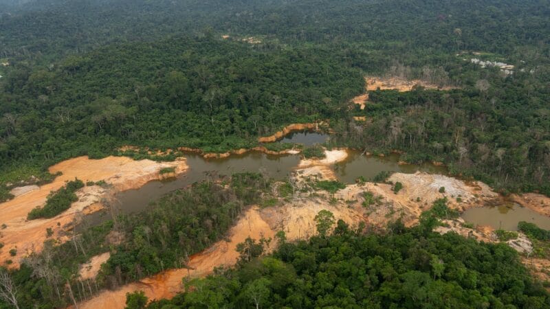 MPF Investiga Contrato de R$ 15 Milhões para Coleta de Lixo na Terra Indígena Yanomami