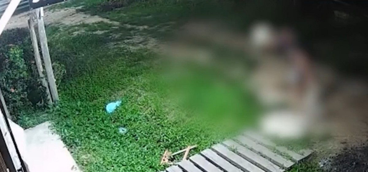 Homem Detido por Maus-Tratos a Gato em Muaná, Marajó