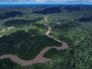 Acre Mantém Baixo Desempenho em Democracia Ambiental, Segundo Estudo Recente