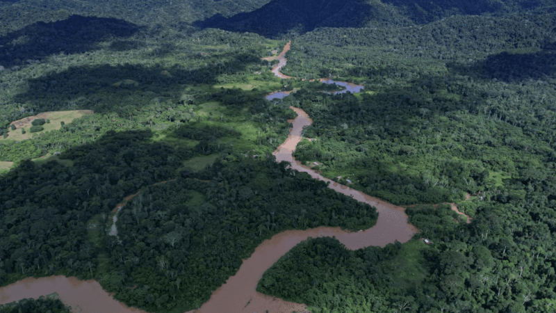 Acre Mantém Baixo Desempenho em Democracia Ambiental, Segundo Estudo Recente