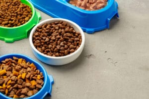Microplásticos em Alimentos para Pets: Um Alerta Global