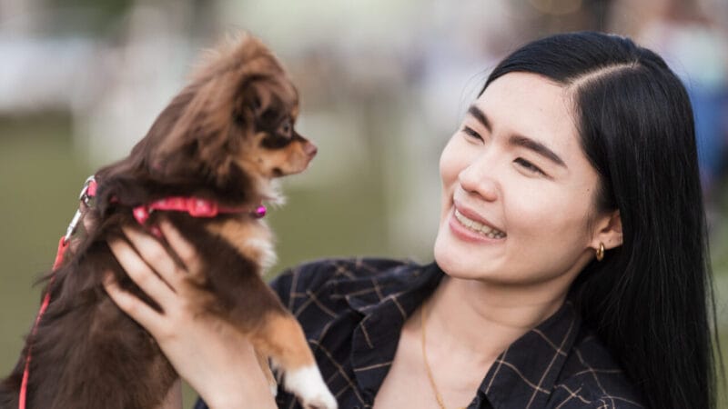Crescimento da Cultura Pet na Coreia do Norte Revela Desigualdade Social