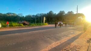 Acidente em Santarém Deixa Idoso Ferido Após Colisão com Caminhão