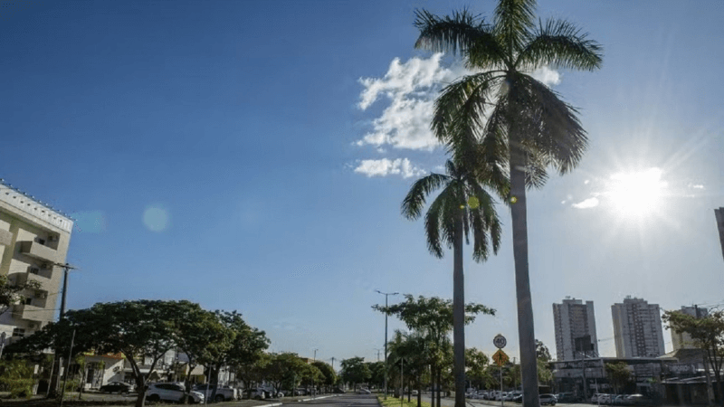 Calor Intenso e Baixa Umidade Marcam o Início de Agosto em Palmas