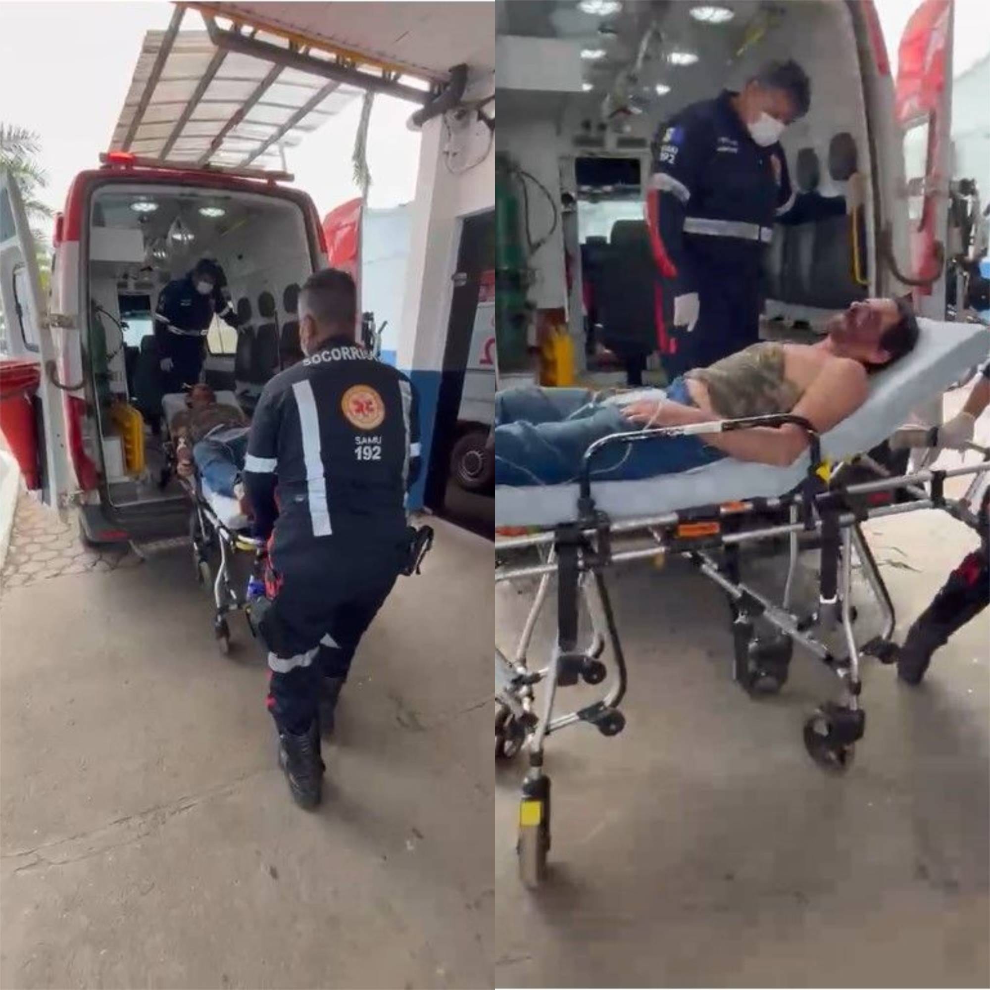 Homem é Ferido por Onça em Porto Velho: Detalhes do Incidente e Estado de Saúde