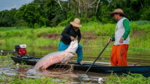 A Influência das Águas Amazônicas na Culinária e Biodiversidade Regional