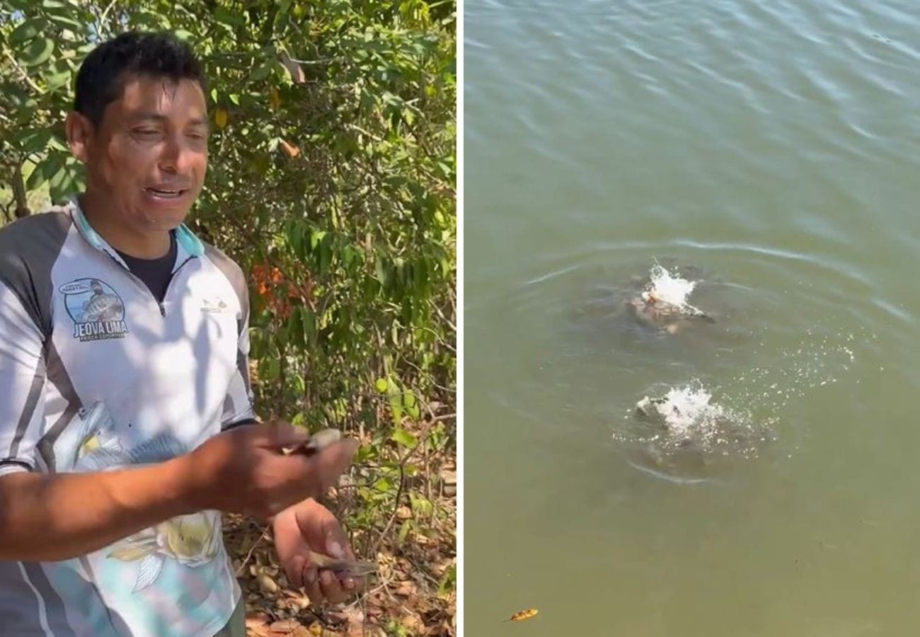 Pescador revela lago cheio de piranhas no Tocantins e faz alerta sobre banhos