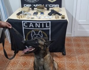 Cadela Fúria Desencadeia Apreensão de Drogas em Roraima