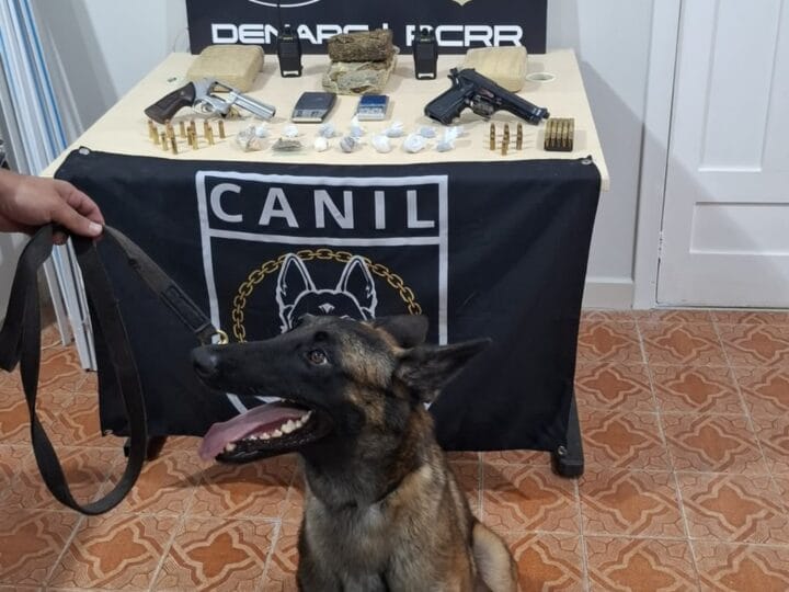Cadela Fúria Desencadeia Apreensão de Drogas em Roraima