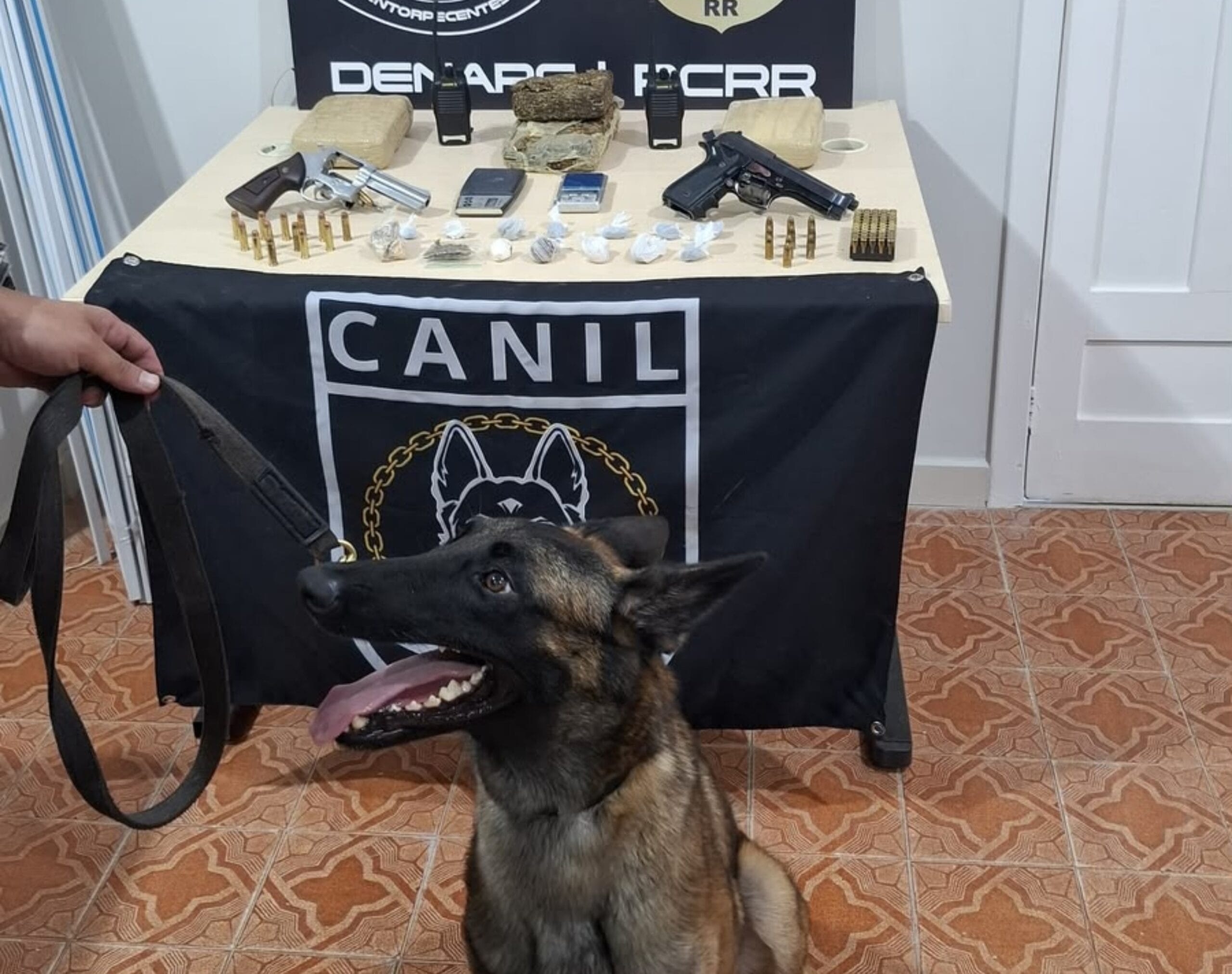 Cadela Fúria Desencadeia Apreensão de Drogas em Roraima