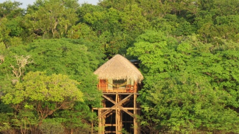 Experiências Inesquecíveis: Dormindo na Floresta Amazônica