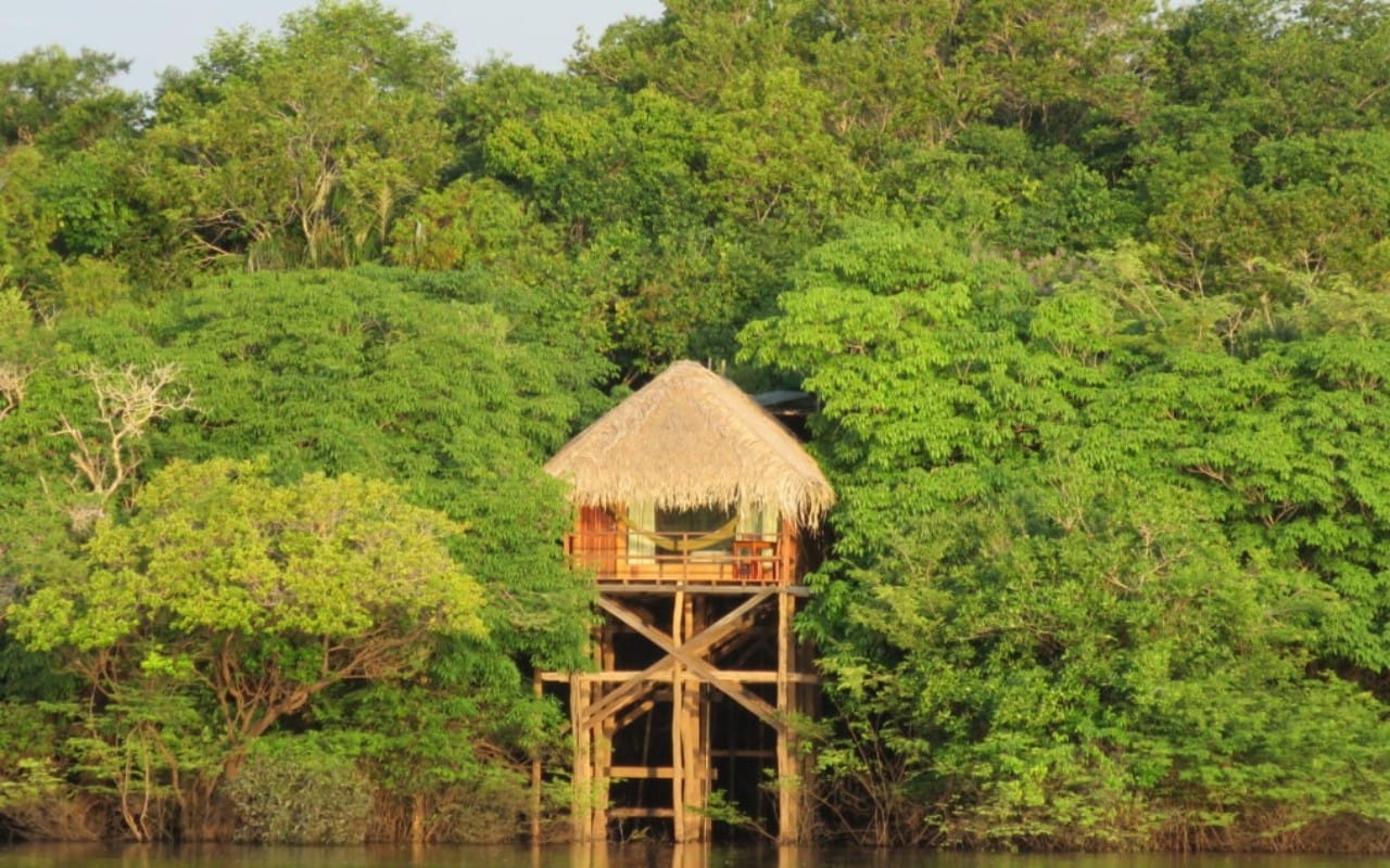 Experiências Inesquecíveis: Dormindo na Floresta Amazônica