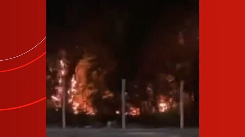 Incêndio Devasta Área de Vegetação no Bairro Dom Pedro em Manaus