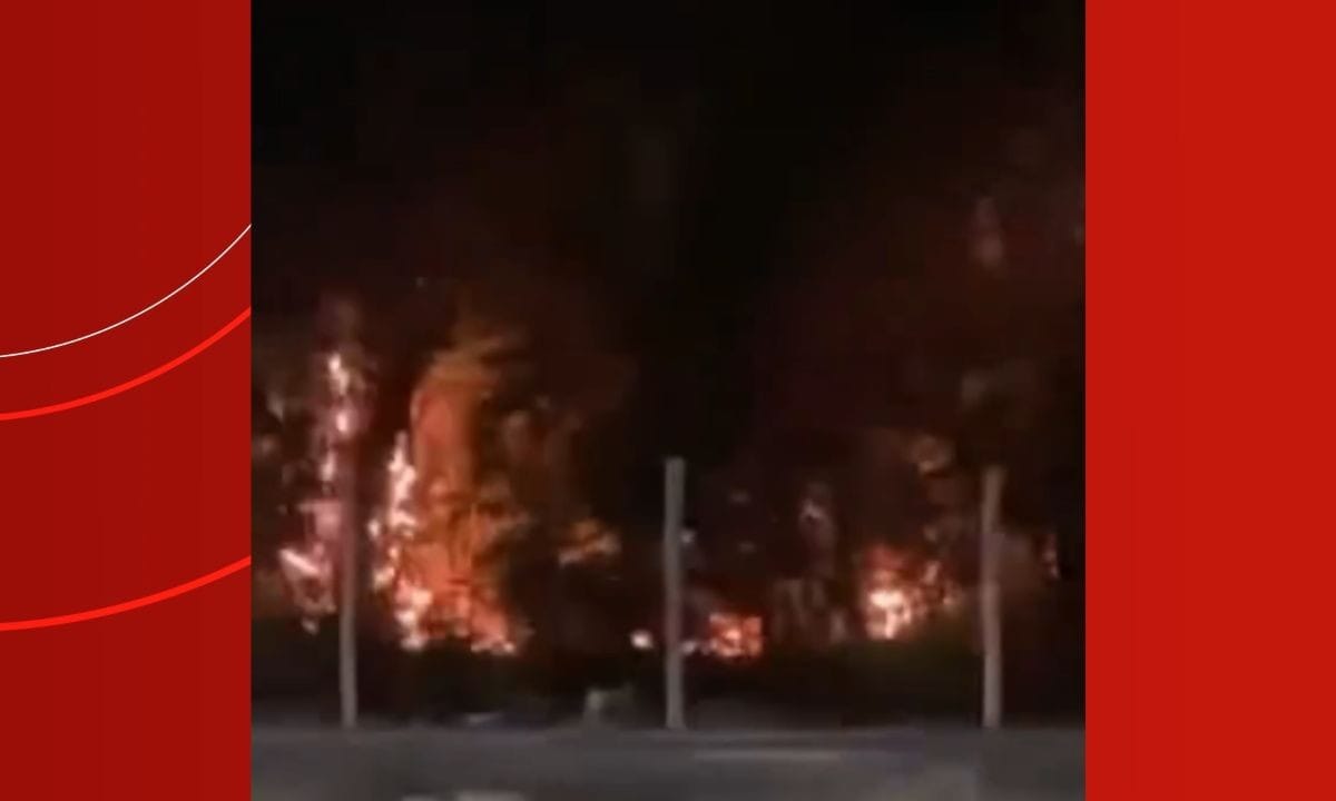 Incêndio Devasta Área de Vegetação no Bairro Dom Pedro em Manaus