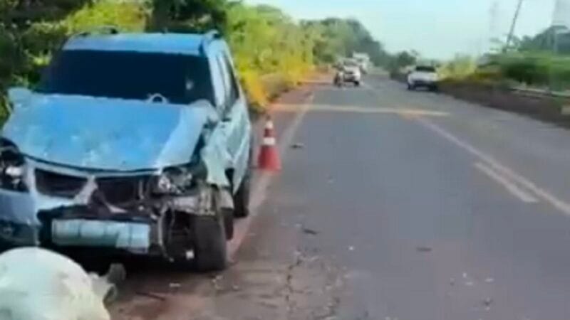 Caminhonete colide com gado em Juruti, resultando na morte de quatro animais e detenção do motorista por embriaguez