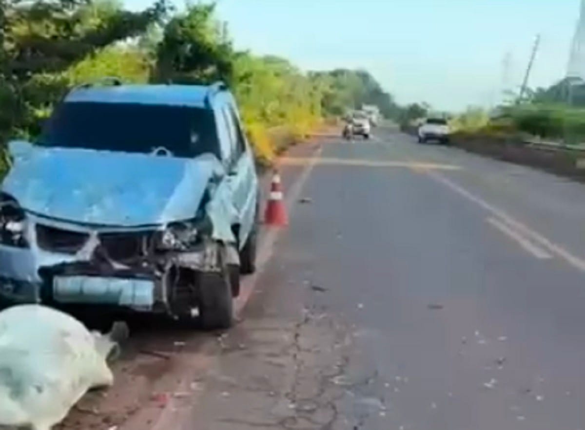 Caminhonete colide com gado em Juruti, resultando na morte de quatro animais e detenção do motorista por embriaguez