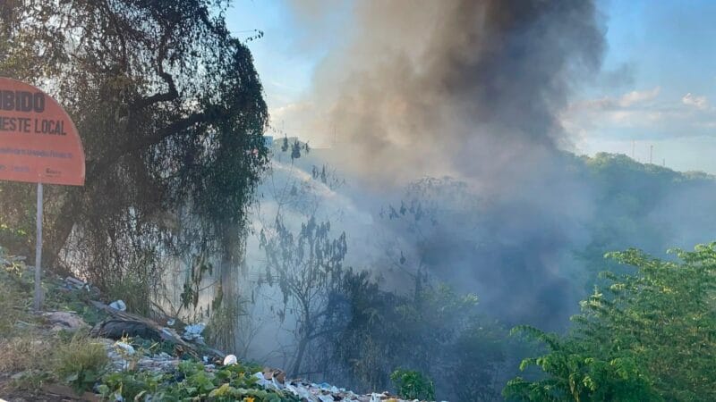 Incêndio em Área Vegetacional na Zona Leste de Manaus Mobiliza Bombeiros