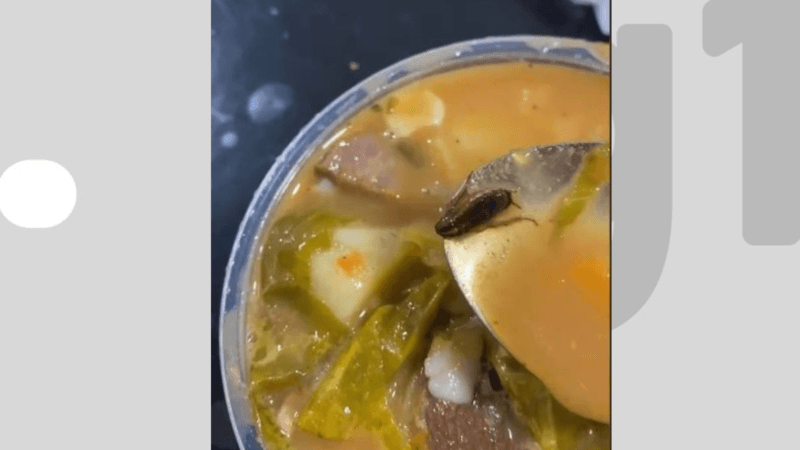 Mãe encontra barata em sopa comprada para filha no Acre e gera revolta nas redes sociais