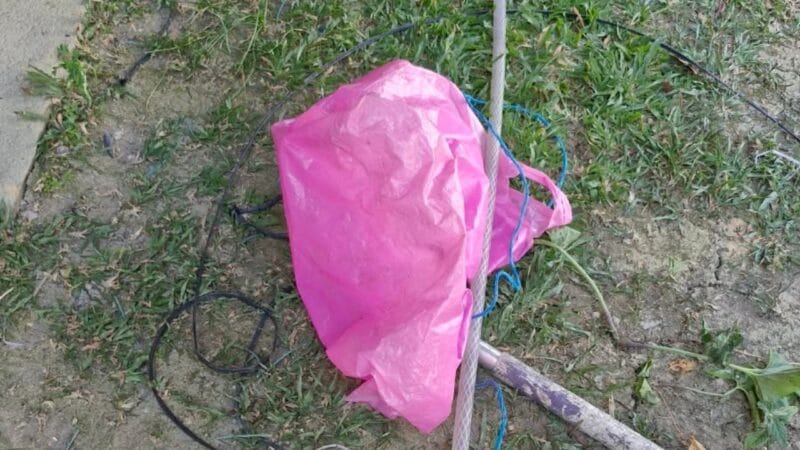 Heroísmo em meio ao fogo: avó salva neta de um mês durante incêndio em Manaus