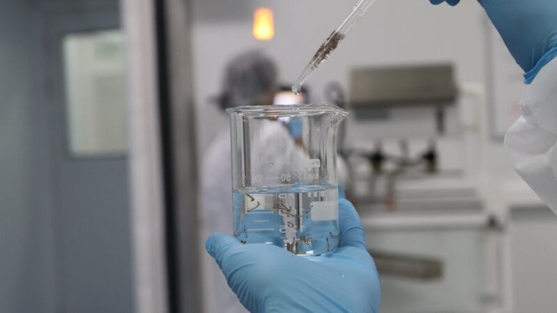 Wolbachia: Mosquitos Transformados em Aliados no Combate à Dengue em Porto Velho